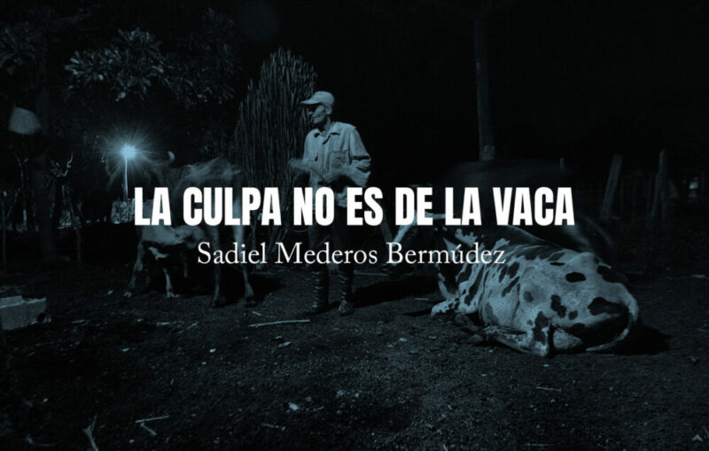 La culpa no es de la vaca por Sadiel Mederos Bermúdez